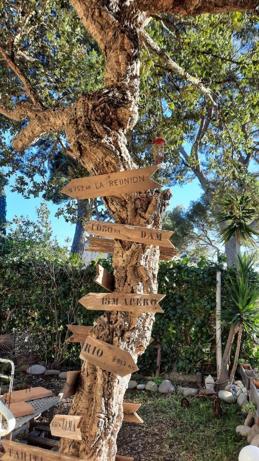 Les Bois Flottes . Plage De La Verne 滨海拉塞讷 外观 照片